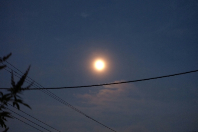 f0113108_20112399.jpg