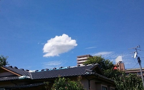 e0350415_06215083.jpg
