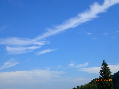 e0138321_8414769.jpg