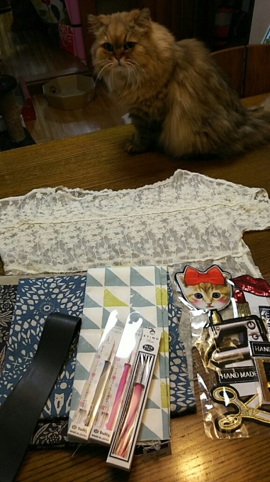 f0106823_03031073.jpg