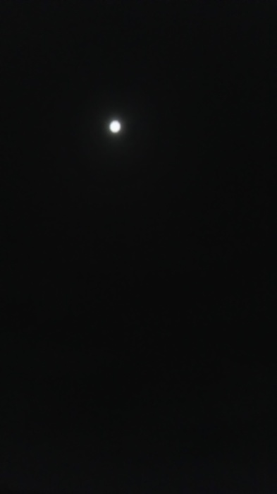 a0169924_19284167.jpg