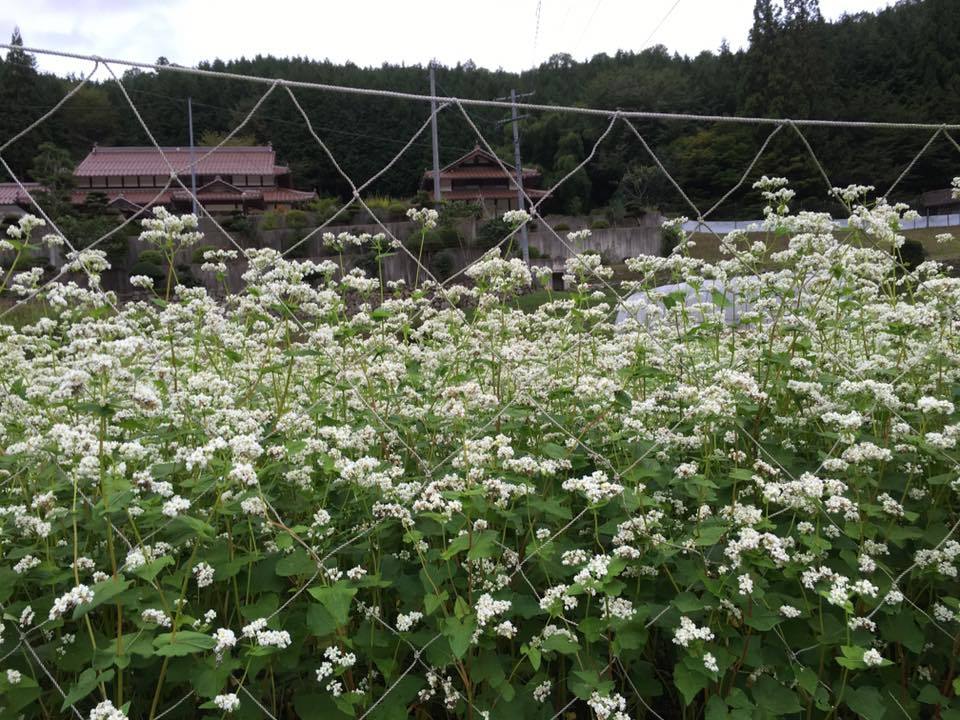 f0231829_18151620.jpg
