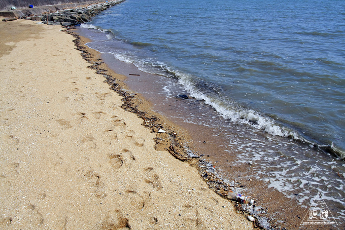 c0211532_16485450.jpg