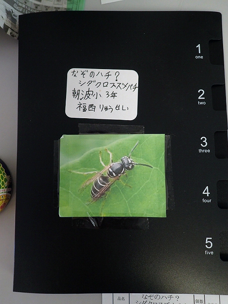 f0214649_404193.jpg