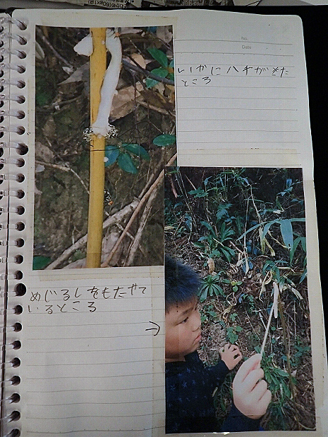 f0214649_423950.jpg