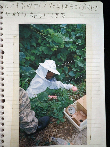 f0214649_451812.jpg