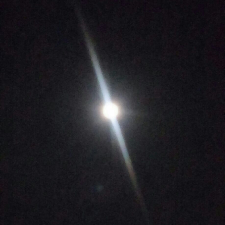 e0137561_11203277.jpg