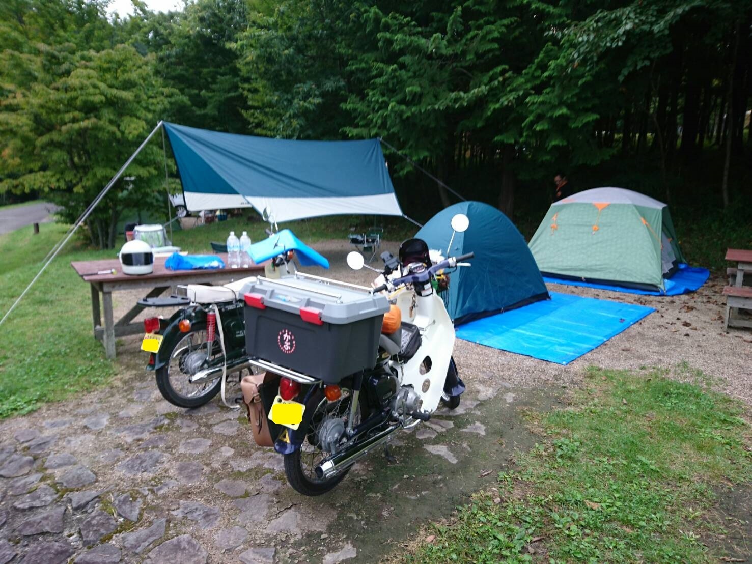 c0325468_20134127.jpg