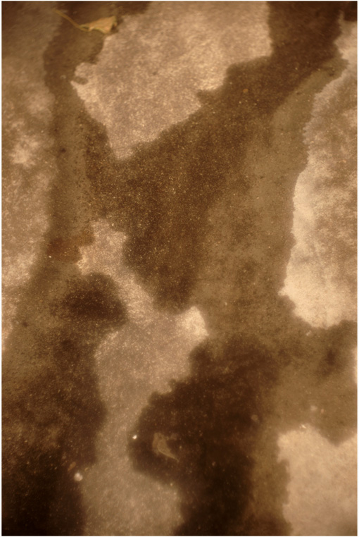 c0168172_2285714.jpg