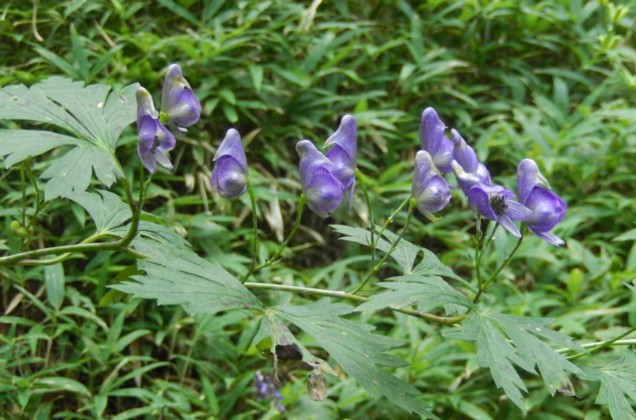 c0144185_21163591.jpg
