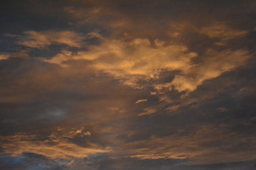 c0204385_23432820.jpg