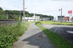 d0183387_13354441.jpg