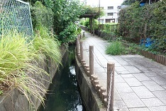 d0183387_13360662.jpg