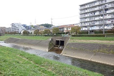 d0183387_14024141.jpg