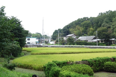 d0183387_14295227.jpg