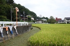 d0183387_14330059.jpg