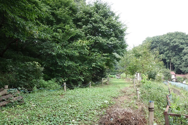 d0183387_15065024.jpg