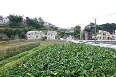 d0183387_19361203.jpg