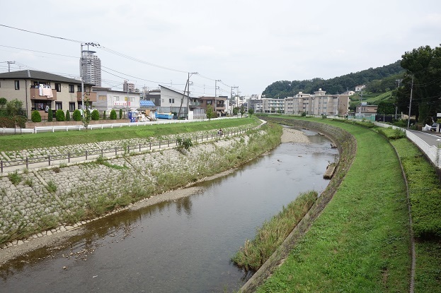 d0183387_20025174.jpg