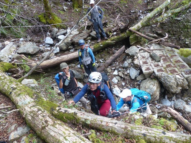 f0357487_16102236.jpg