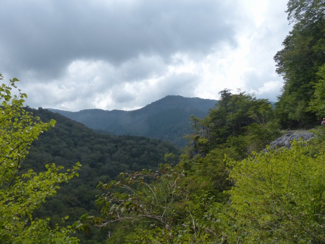 f0357487_1611136.jpg