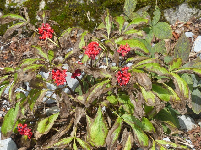 f0357487_16616.jpg