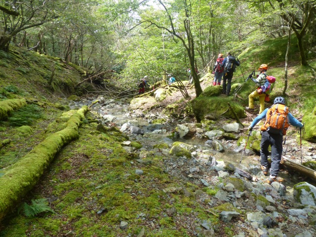 f0357487_85335100.jpg