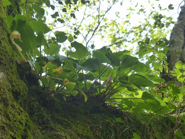 f0357487_8572719.jpg