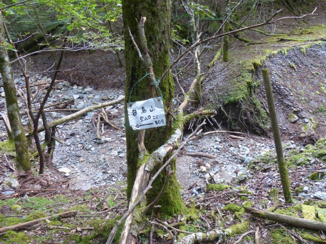 f0357487_905015.jpg