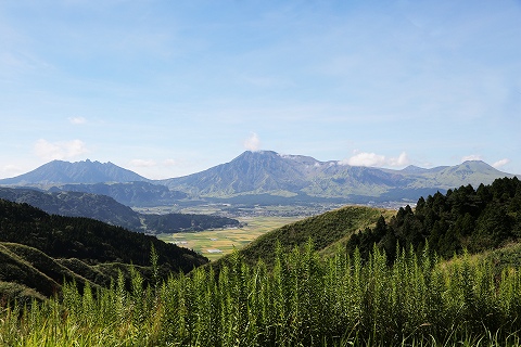 a0222494_13475991.jpg