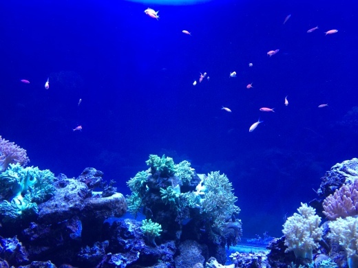 f0201297_04491723.jpg