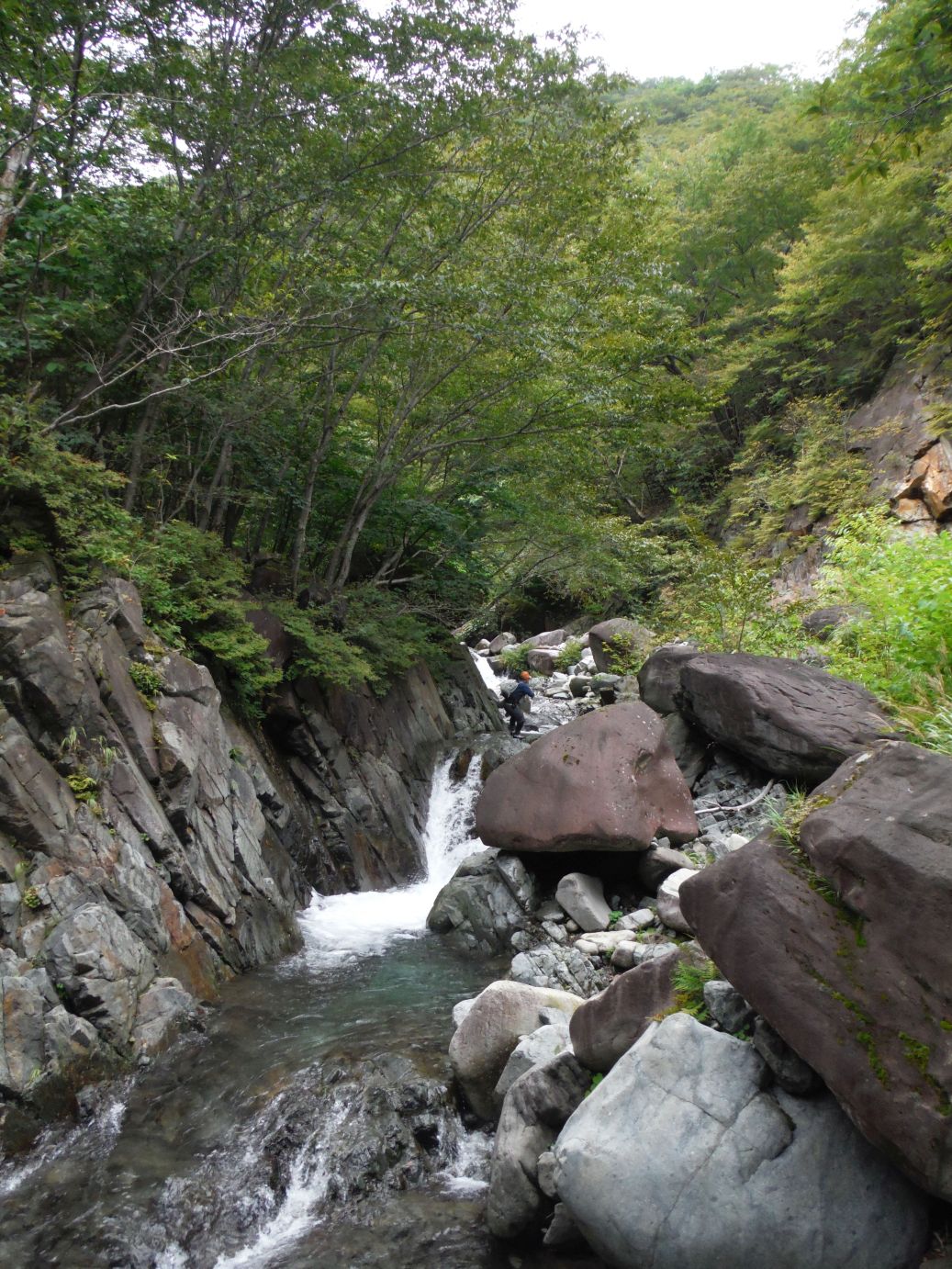 b0172805_10114929.jpg