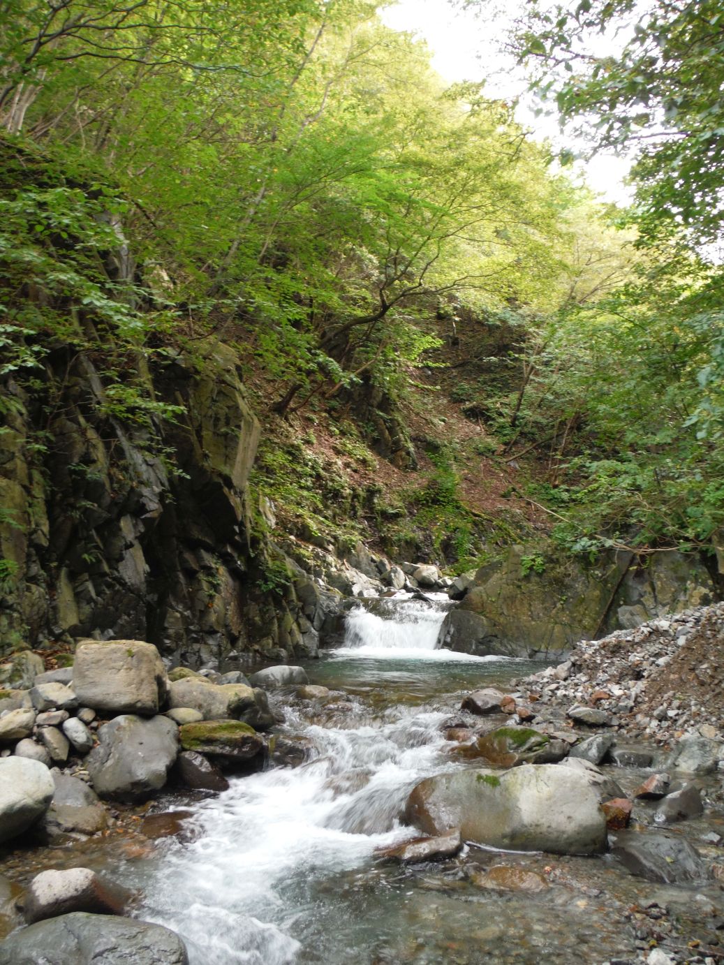 b0172805_10131383.jpg
