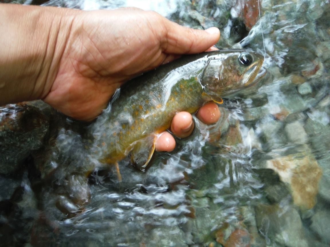 b0172805_10133231.jpg