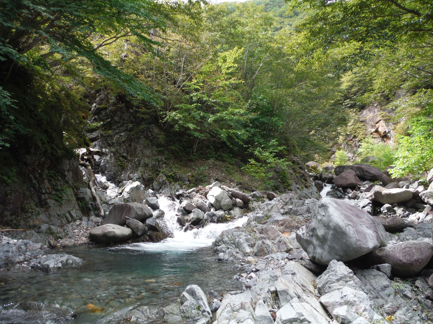 b0172805_1091178.jpg