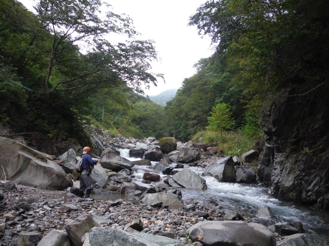 b0172805_9575251.jpg