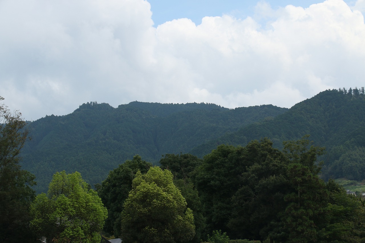 a0198715_13510001.jpg