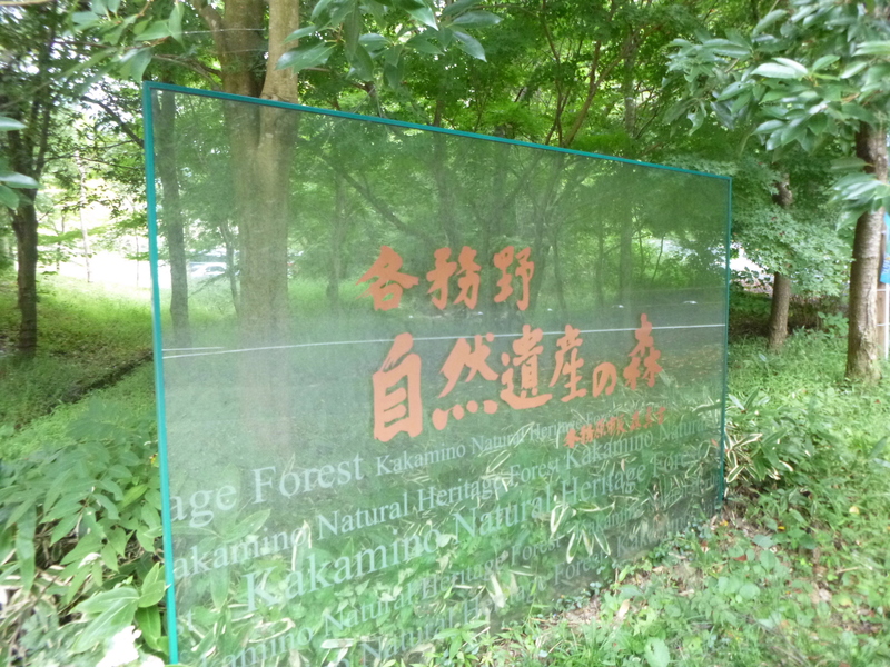d0170615_1115828.jpg