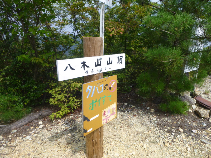 d0170615_1134180.jpg