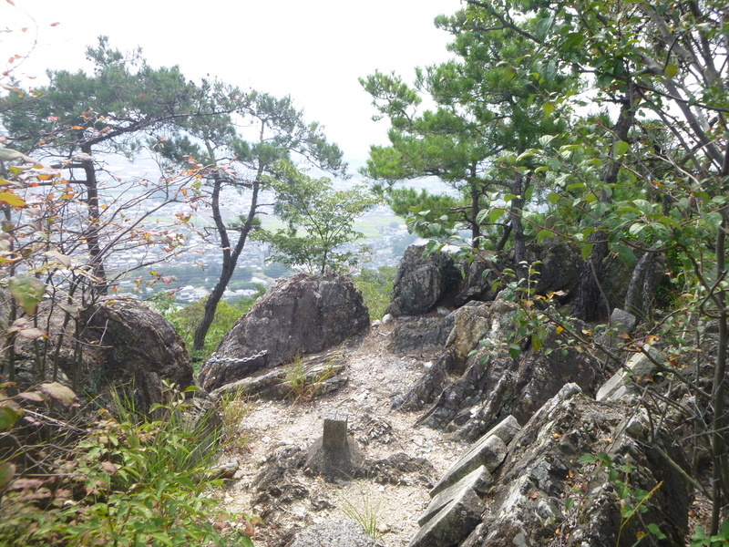 d0170615_1145021.jpg