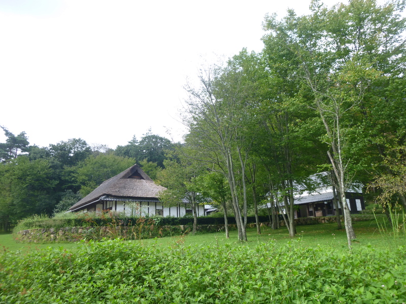 d0170615_1174100.jpg