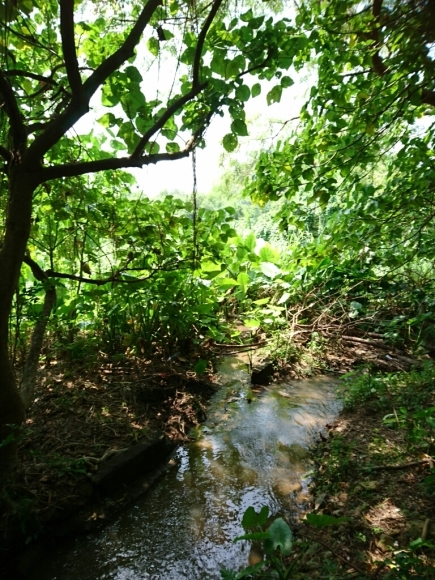 b0312126_23445699.jpg