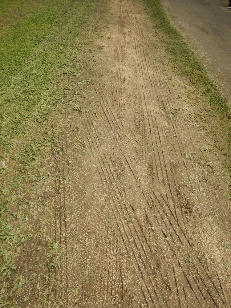 c0111229_18554054.jpg