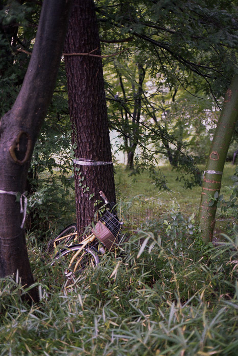f0265234_16560209.jpg