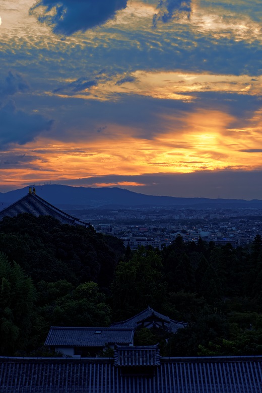 f0274536_13544331.jpg