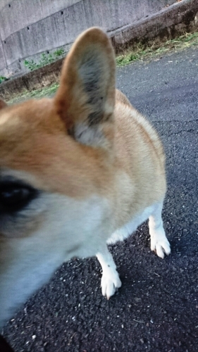 c0175339_00554013.jpg