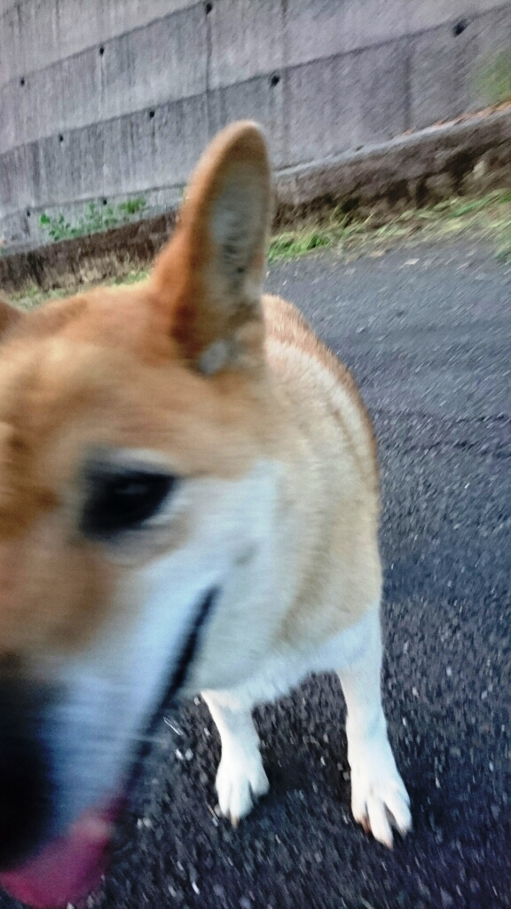 c0175339_00554225.jpg