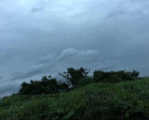 d0169340_00041985.jpg