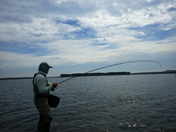 f0055244_07021417.jpg