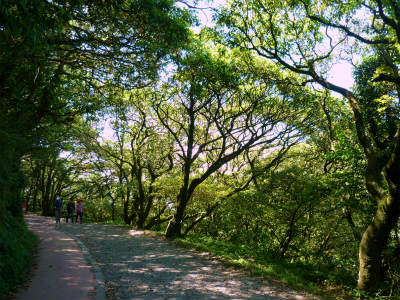 b0166749_15163858.jpg